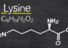 lysine benefits