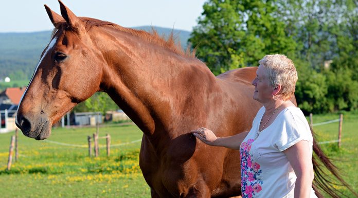 women who own horses live longer