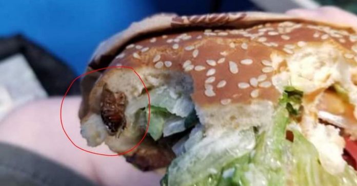 dead cockroach in burger