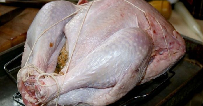 fatal salmonella outbreak turkey