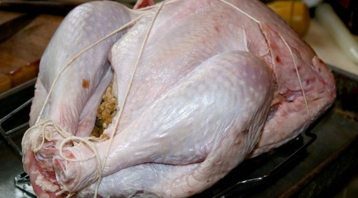 fatal salmonella outbreak turkey