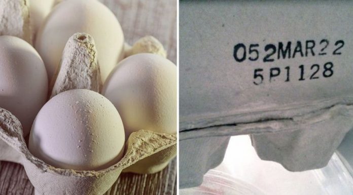 numbers on egg carton