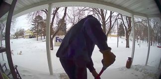 FedEx Driver Shovels Snow Widow