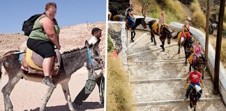 Greek Tourists Harming Donkeys