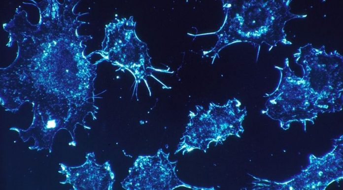 Israeli Scientists Cure For Cancer