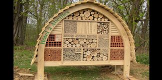 how to build bee house