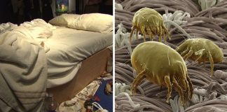 making your bed sick