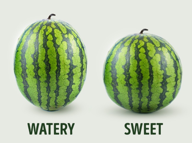 watermelon types
