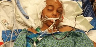 11-year-old hit by car