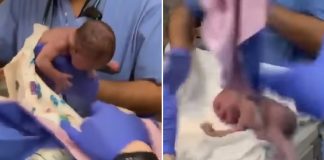 doctor dropping twin baby
