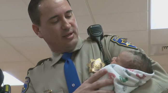 highway patrol officer revives baby